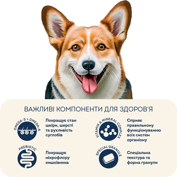 Сухий корм HOME FOOD здорова шкіра та блиск шерсті для дорослих собак середніх порід Індичка та лосось, 1.6 кг