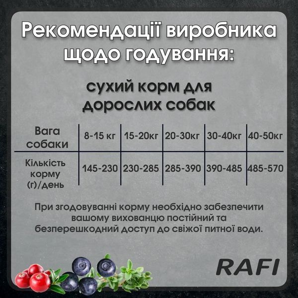 Сухий корм Dolina Noteci RAFI для дорослих собак з ягням та рисом