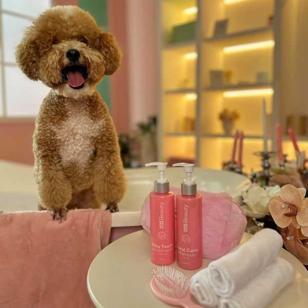 Кондиціонер "Шовковистий дотик" для собак та котів Silky Touch HOME FOOD Beauty, 200 мл