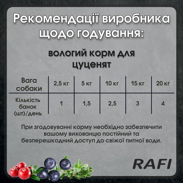 Консерва Dolina Noteci RAFI Junior для цуценят і молодих собак, паштет з ягням, лохиною та журавлиною, 400 г